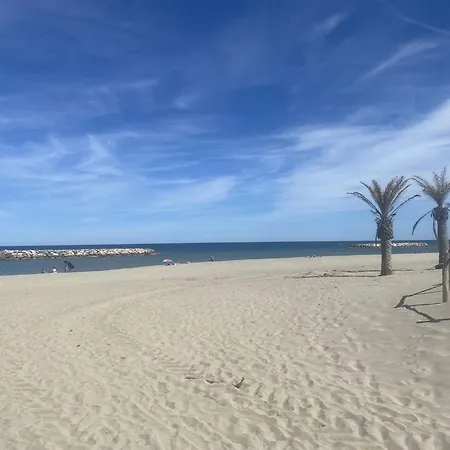 Appartement Avec Terrasse Près De La - Fr-1-782-12 Le Barcarès